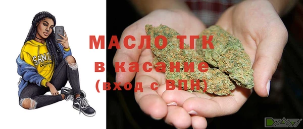 мет Няндома