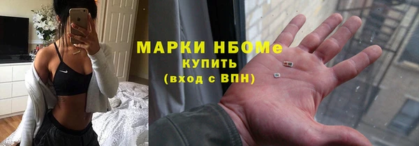 мет Няндома