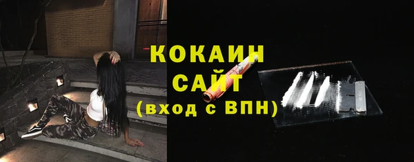 ПСИЛОЦИБИНОВЫЕ ГРИБЫ Новозыбков