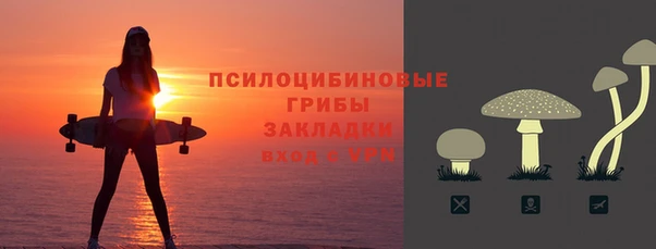 мет Няндома