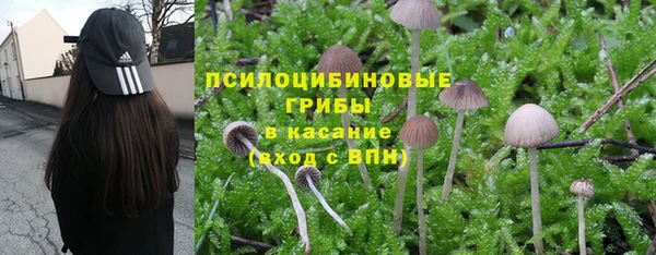 мет Няндома