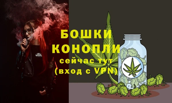 ПСИЛОЦИБИНОВЫЕ ГРИБЫ Новозыбков