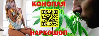 прущие грибы Бийск