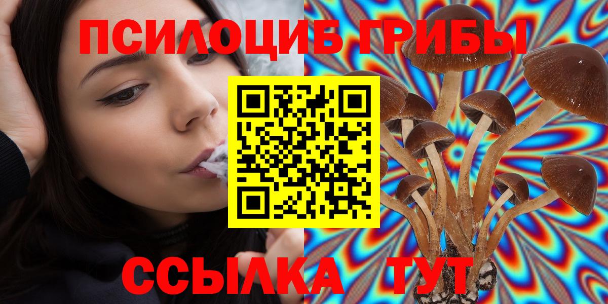 Галлюциногенные грибы Cubensis  Надым 